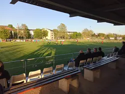 Tribüne