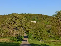 Aus Entfernung