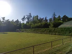 Feld