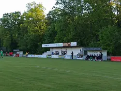 Tribüne