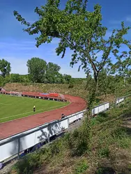 Baum auf Tribüne
