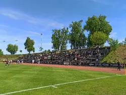 Tribüne