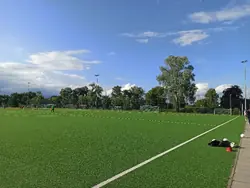 Feld