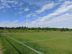 Feld