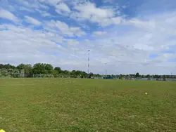 Feld