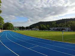 Laufbahn
