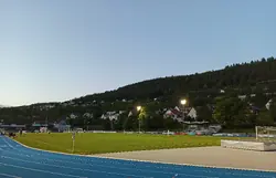 Feld
