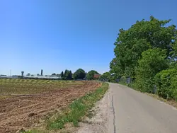 Weites Feld