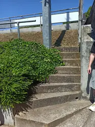 Treppe