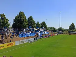 Schott Fans