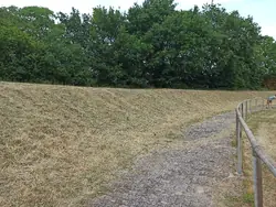 Wall