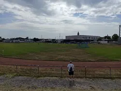 Feld