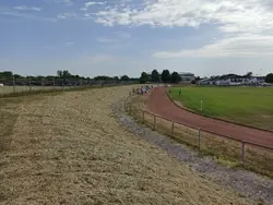 Wall