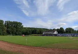 Feld