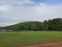 Feld