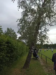 Gegengerade