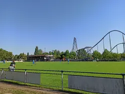 Feld