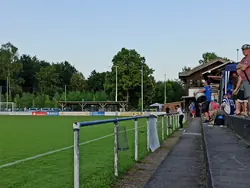 Heimfan