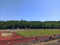 Feld