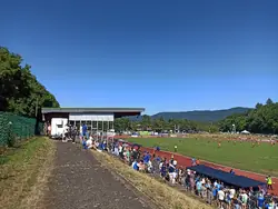 Tribüne