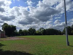 Feld