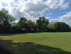 Feld