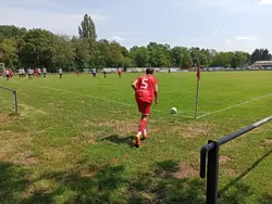 Eckball Heidelsheim