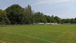 Feld
