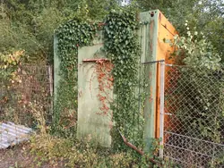 Tür