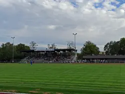 Tribüne
