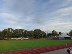 Feld