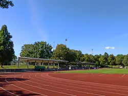 Tribüne
