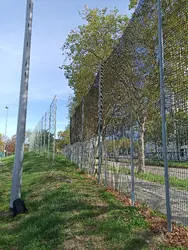 Zaun
