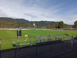 Feld