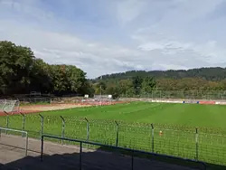 Feld