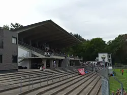 Tribüne