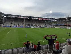 Fans