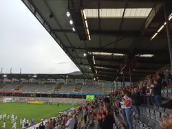 Fans