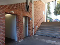 Maür