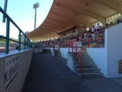 Tribüne