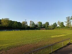 Feld