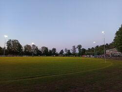 Feld