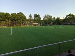 Feld