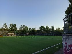 Feld