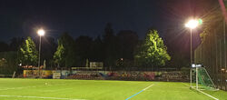 Tribüne