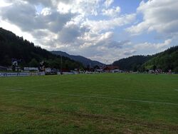Feld
