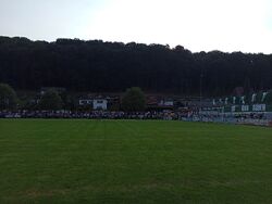 Feld