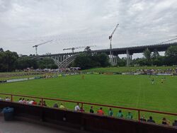 Feld