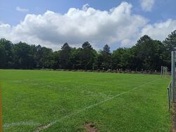 Feld