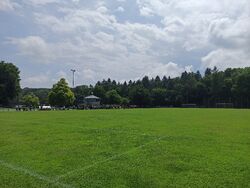 Feld